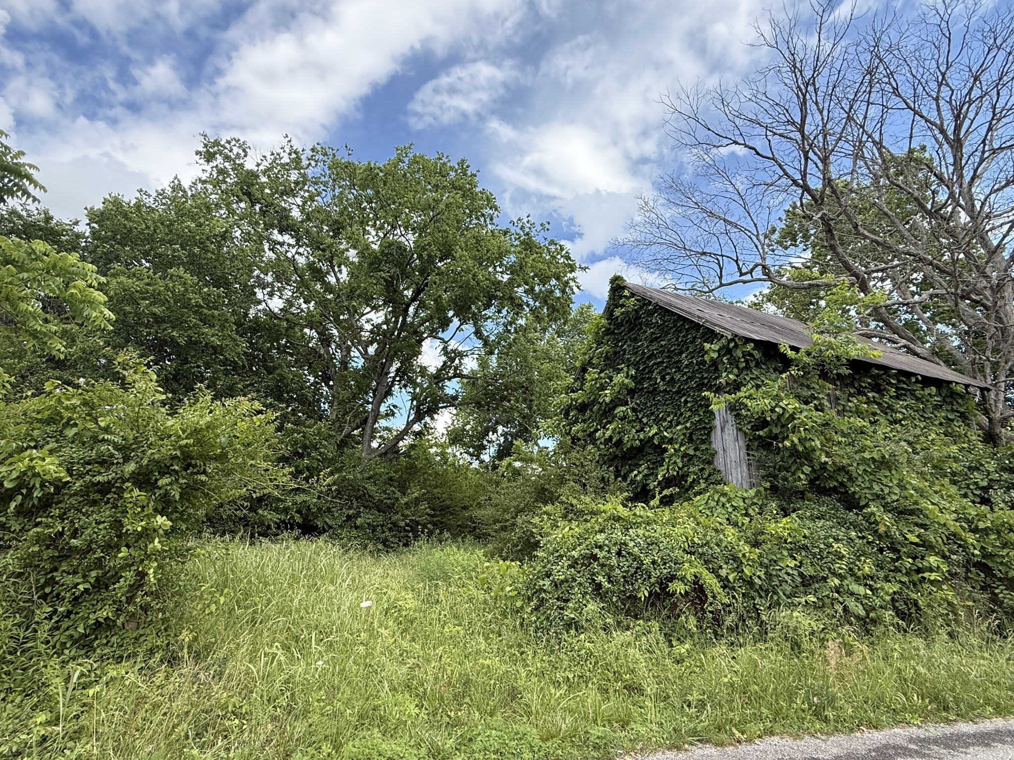 0 Bill Anderson Road Portland, TN 37148 - Photo 5 of 19