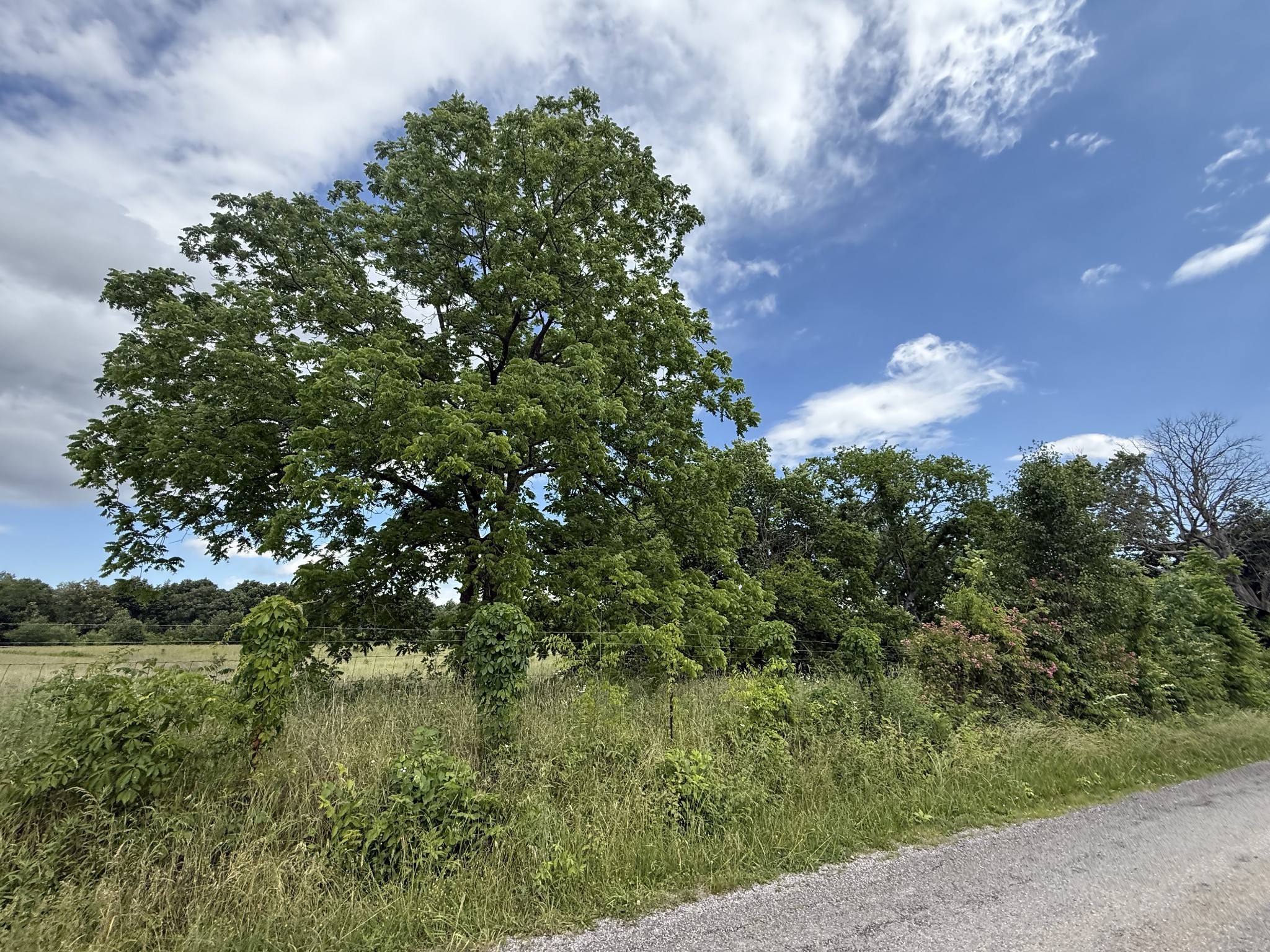 0 Bill Anderson Road Portland, TN 37148 - Photo 7 of 19