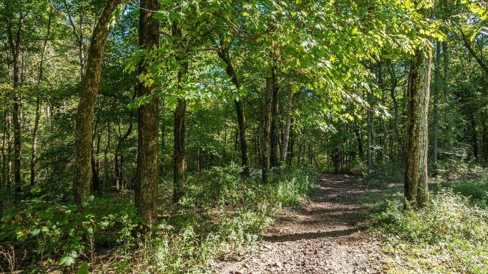 6665 County Road 54 Road Mount Perry, OH 43760 - Photo 47 of 68 Driveway