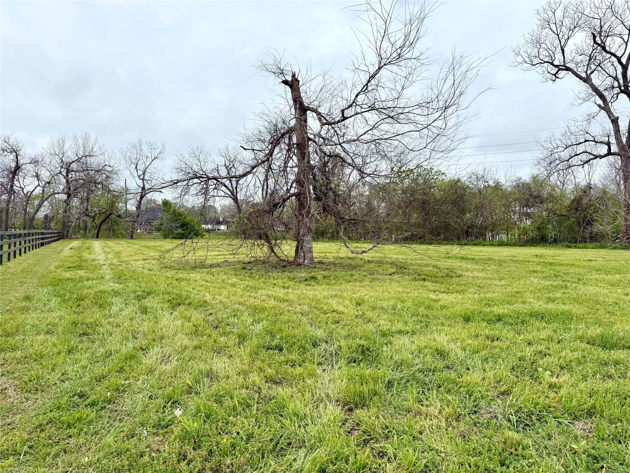 30602 Lower Oxbow Trace Fulshear, TX 77441 - Photo 5 of 7 a view of outdoor space with trees all around