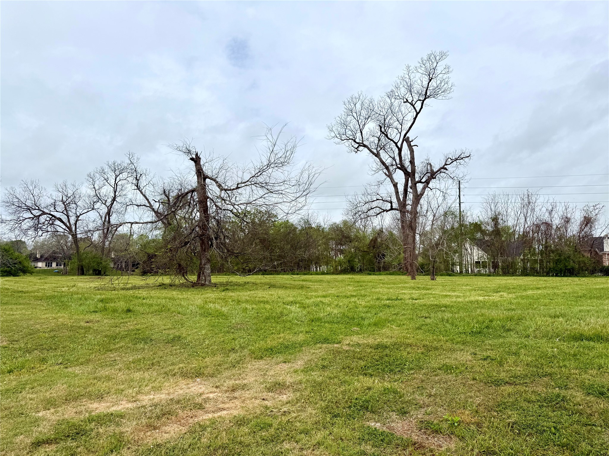 30602 Lower Oxbow Trace Fulshear, TX 77441 - Photo 6 of 7 a view of a field with trees in background