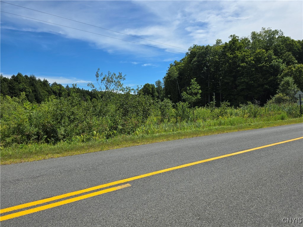 Hayes Road Camden, NY 13316 - Photo 4 of 6