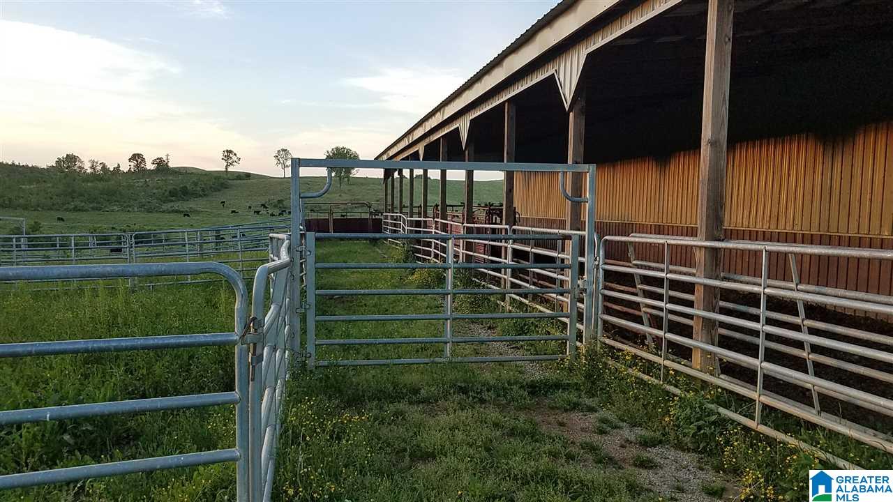 31 County Road Ashland, AL 36251 - Photo 17 of 38