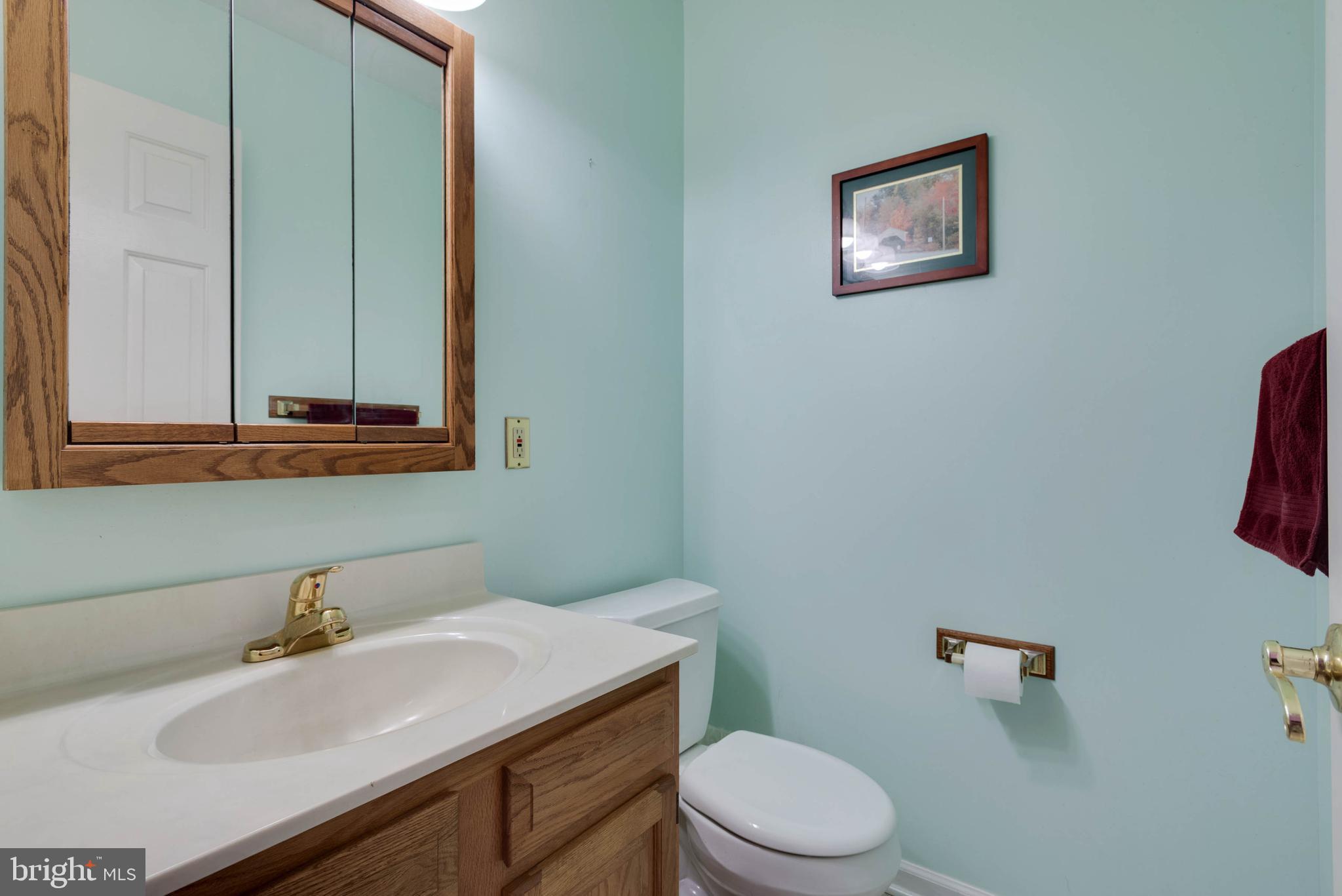 12004 Alum Springs Road Culpeper, VA 22701 - Photo 16 of 33 powder room