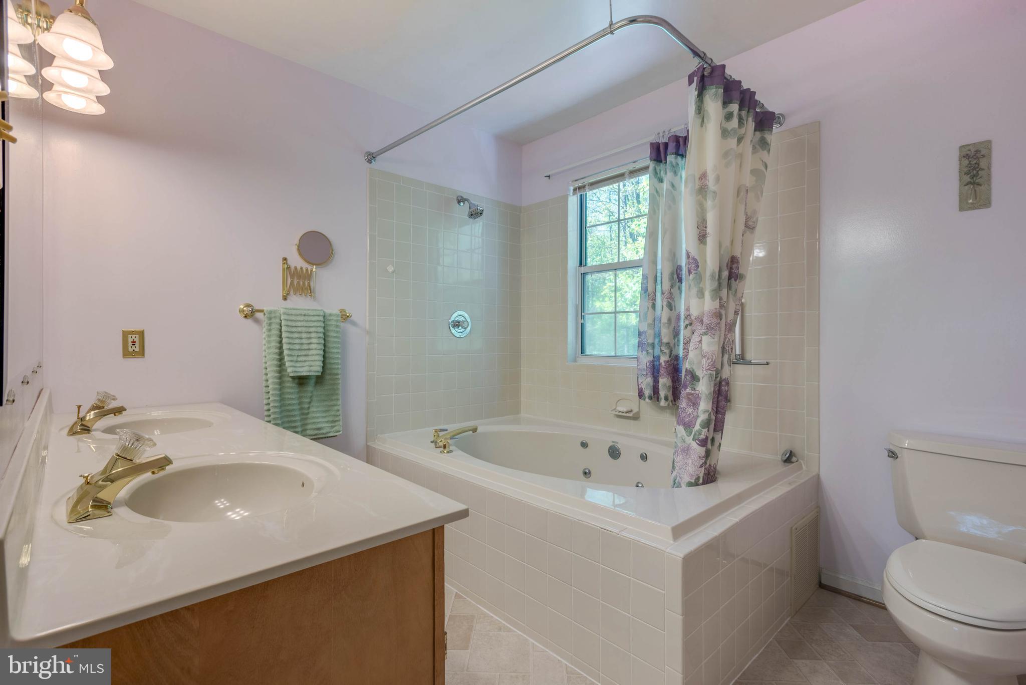 12004 Alum Springs Road Culpeper, VA 22701 - Photo 21 of 33 master bath
