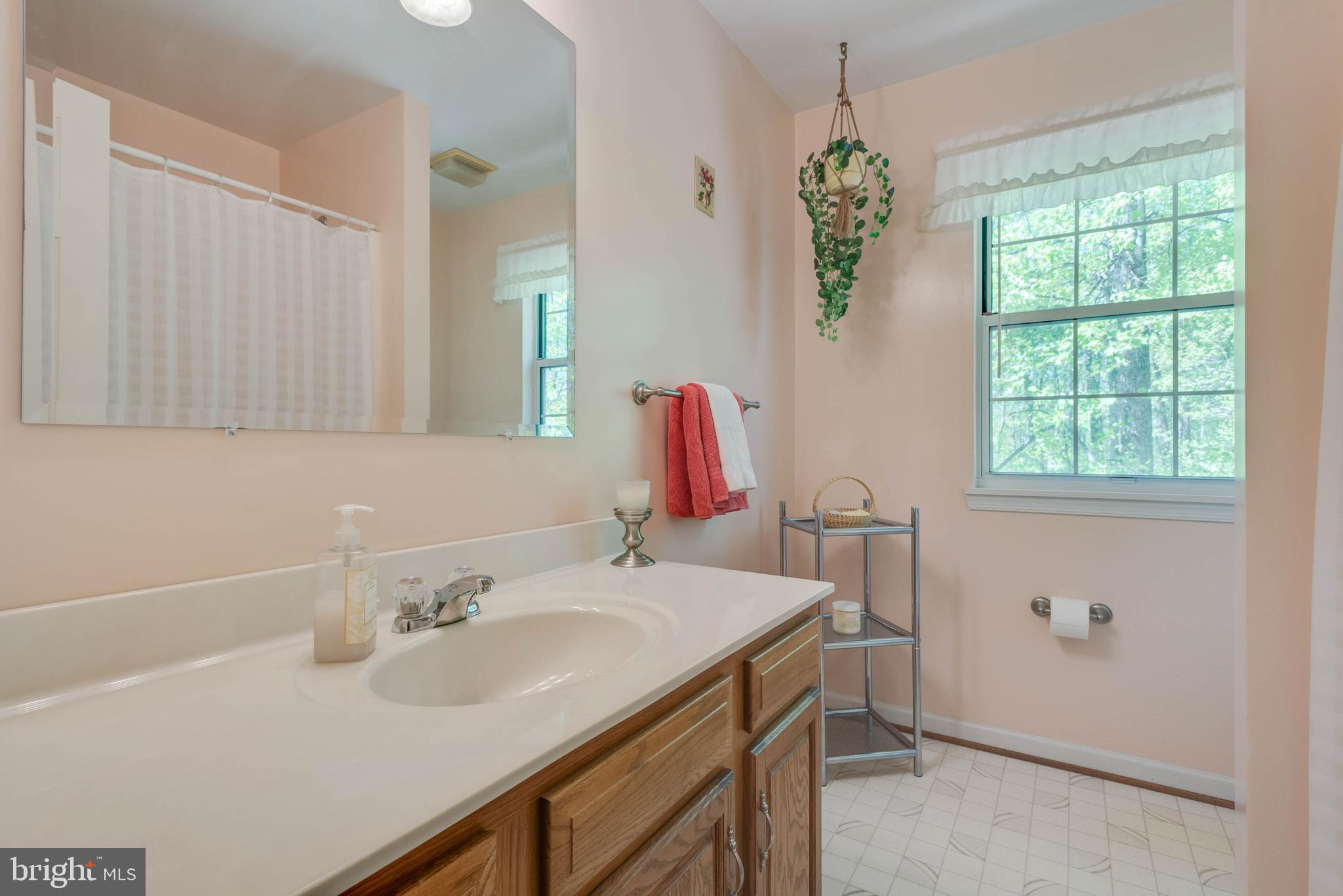 12004 Alum Springs Road Culpeper, VA 22701 - Photo 24 of 33 hall bath