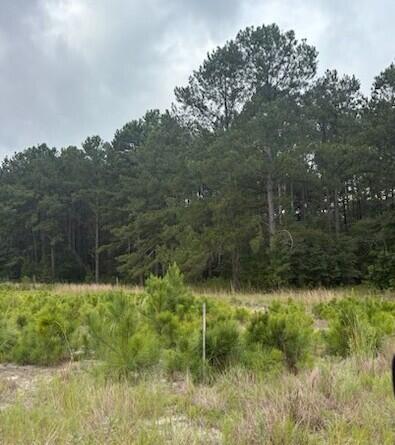 402 State Road Barnwell, SC 29812 - Photo 4 of 5 Gallery Image 4