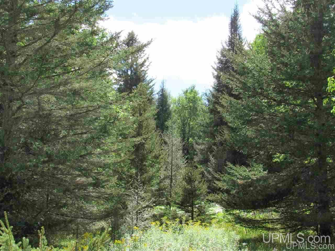Tbd Tbd Off Stagecoach Road Michigamme, MI 49861 - Photo 23 of 37