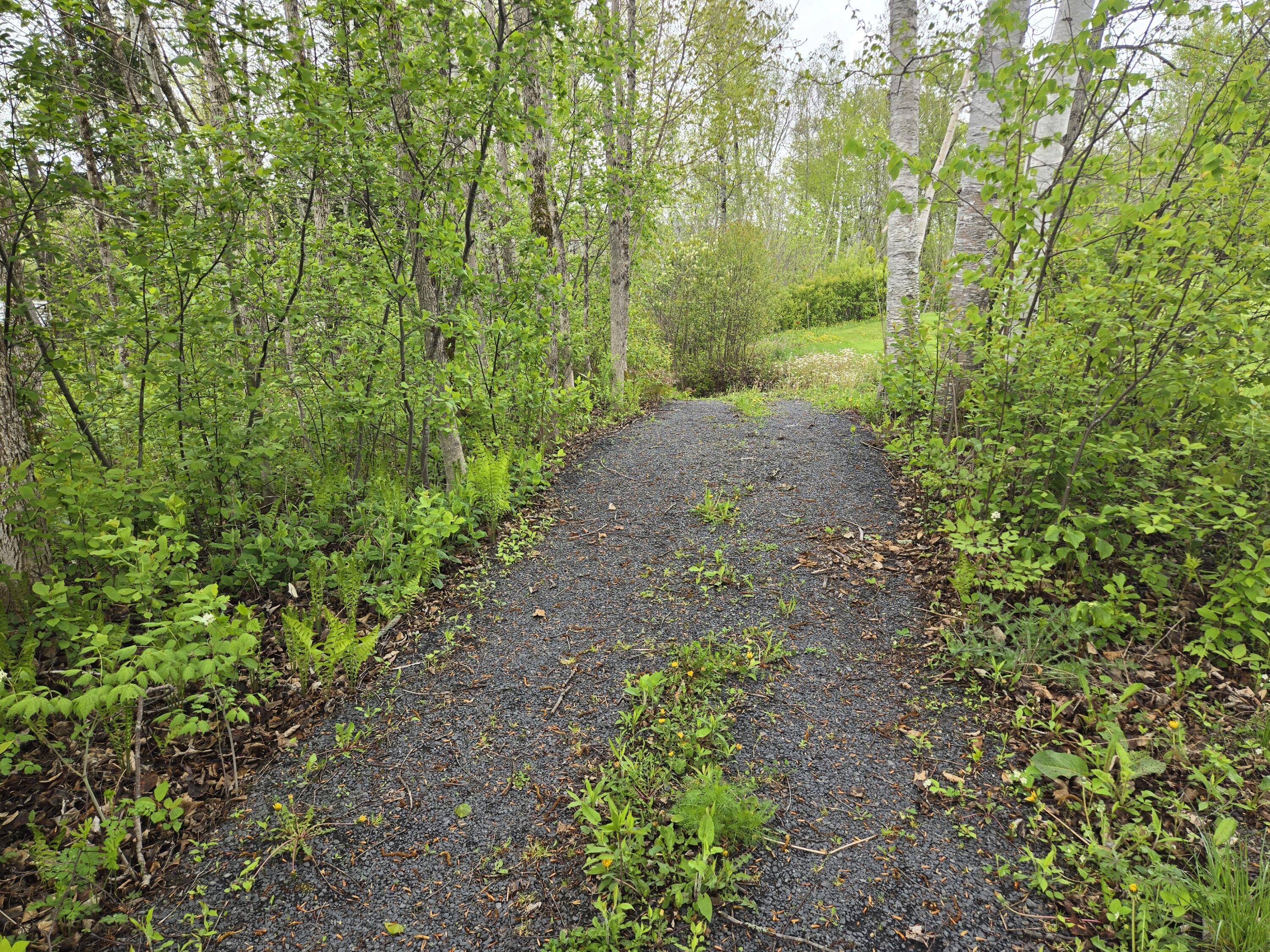 232 Washburn Road Presque Isle, ME 04769 - Photo 19 of 53 18