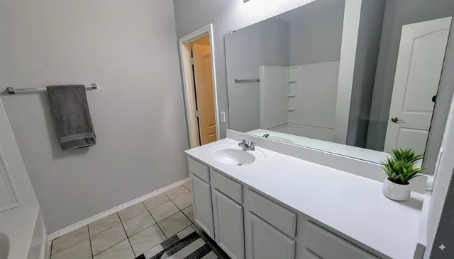 a bathroom with a sink a potted plant and a mirror