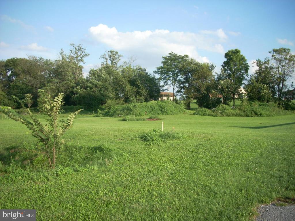 35 London Vale Road Paradise, PA 17562 - Photo 5 of 5 Gallery Image 5