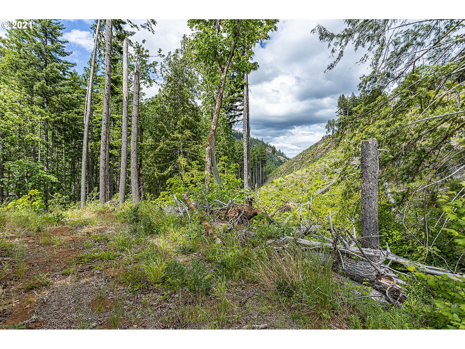 5700 Lost Lake Road Hood River, OR 97031 - Photo 1 of 7 Gallery Image 1