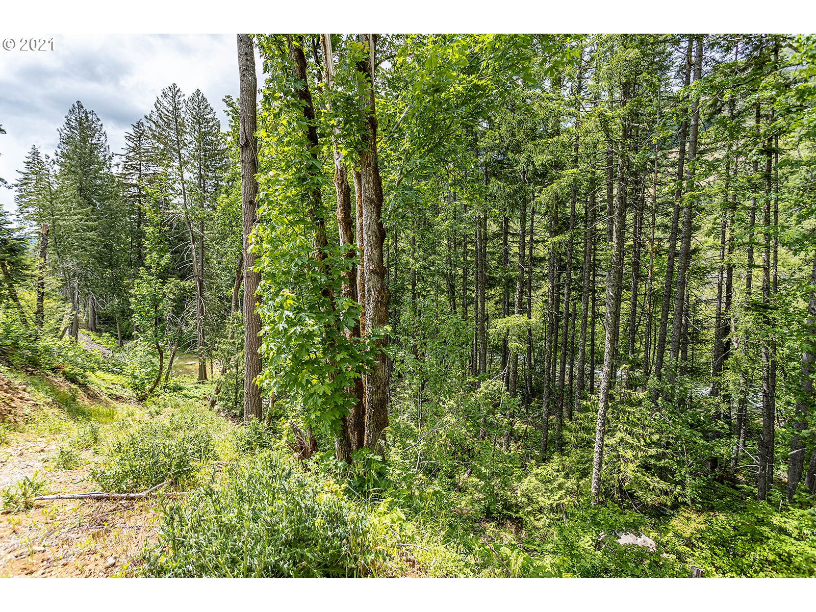 5700 Lost Lake Road Hood River, OR 97031 - Photo 3 of 7 Gallery Image 3
