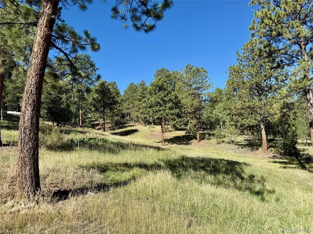 a view of a yard with trees