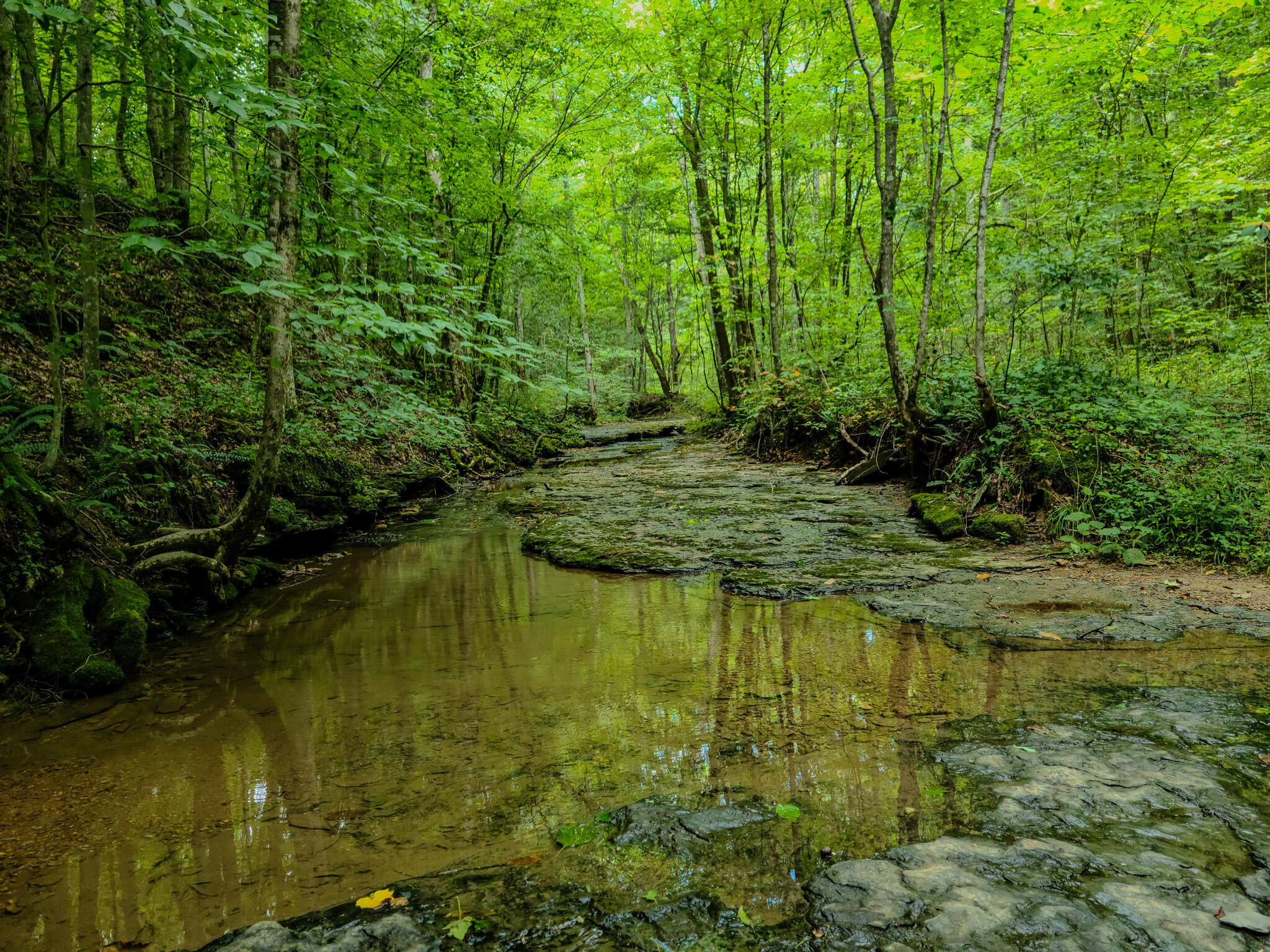 1640 Clear Branch Road Liberty, KY 42539 - Photo 122 of 135 20240706_134233