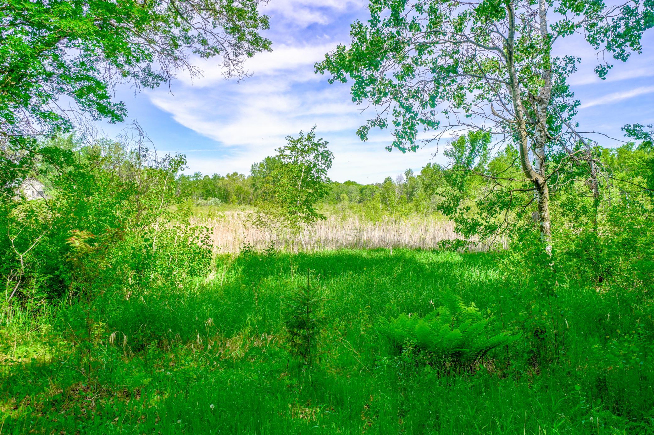 5665 Turtle Lake Road Shoreview, MN 55126 - Photo 53 of 109