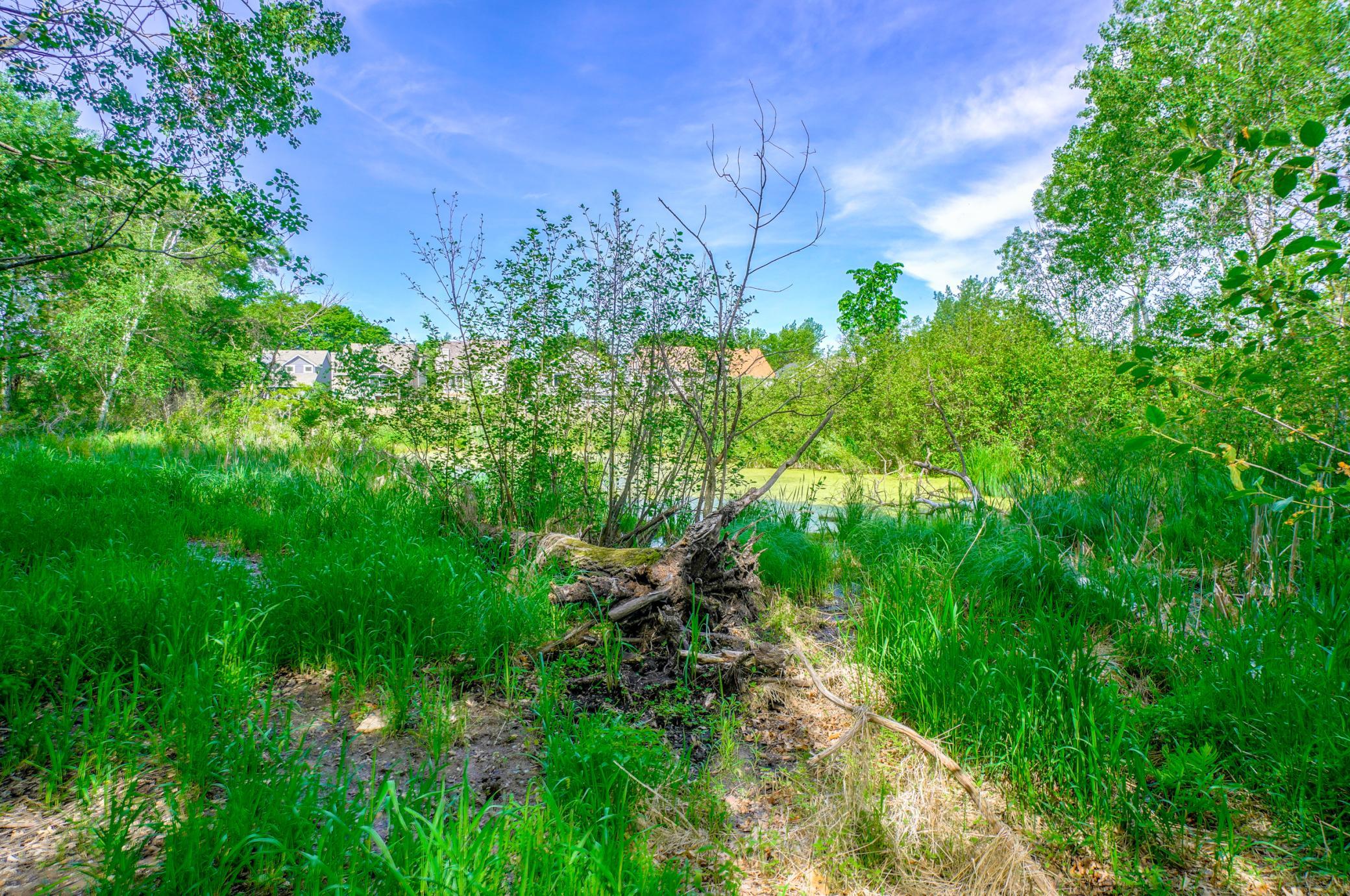 5665 Turtle Lake Road Shoreview, MN 55126 - Photo 78 of 109