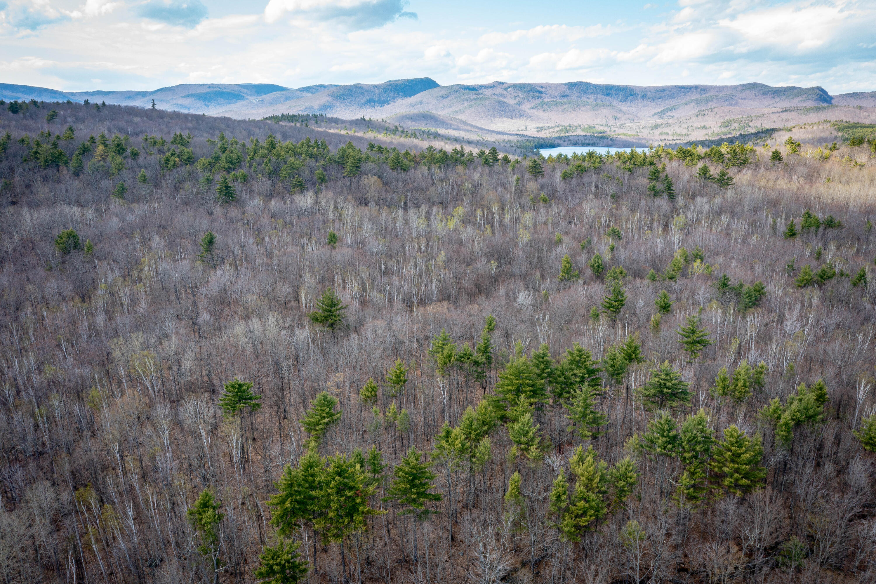 R-12-l-033 Main Street Stoneham, ME 04231 - Photo 3 of 28 Mountains and Lakes