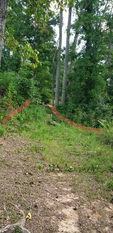 $317,777 | 3259 Coffey Lane, Young Harris, GA 30582