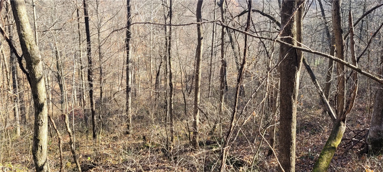 Johnson Run Road Newcomerstown, OH 43832 - Photo 22 of 35 Gallery Image 22