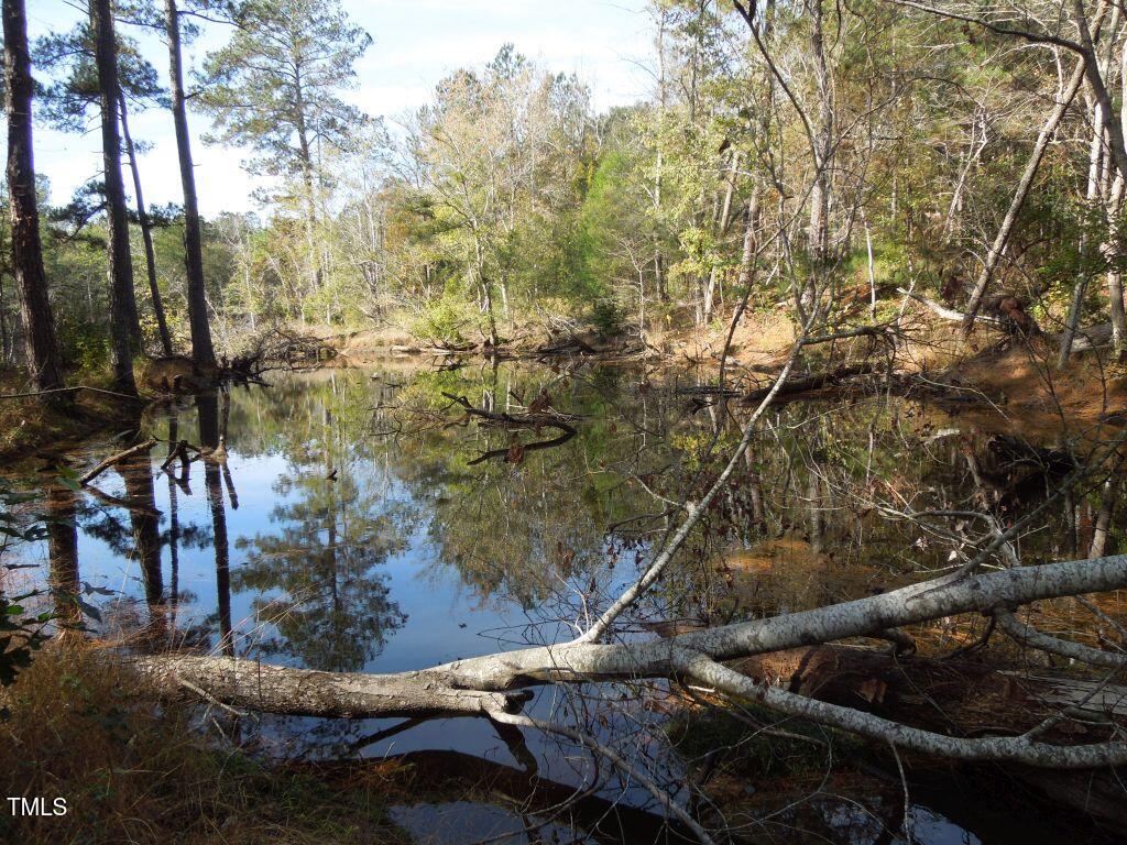 Tbd Cook Road Carthage, NC 28327 - Photo 22 of 40 DSCN0111