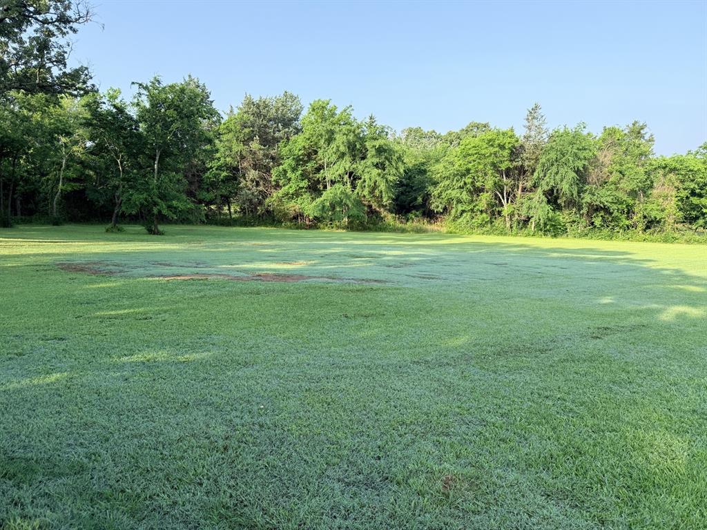 400 VZ County Road Ben Wheeler, TX 75754 - Photo 5 of 8 a view of a field of grass and trees
