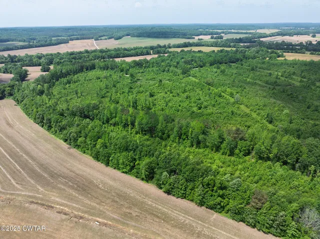 a view of a green field with lots of green space