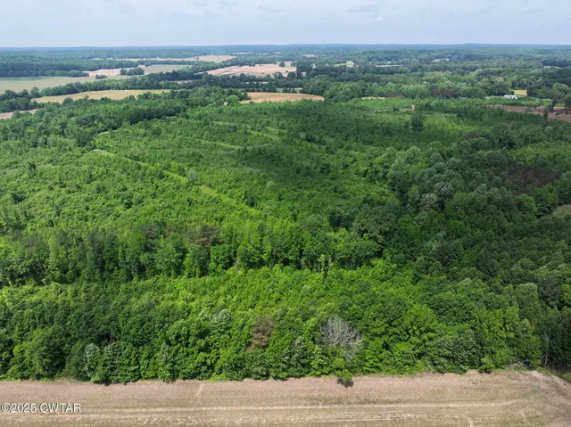 a view of a lush green forest with trees in the background