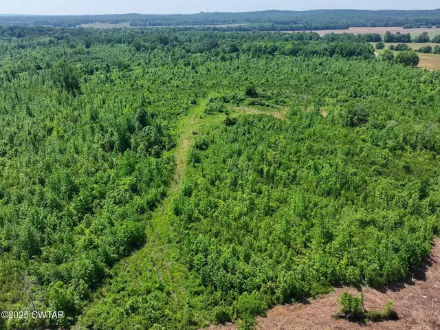 a view of a green field with lots of bushes