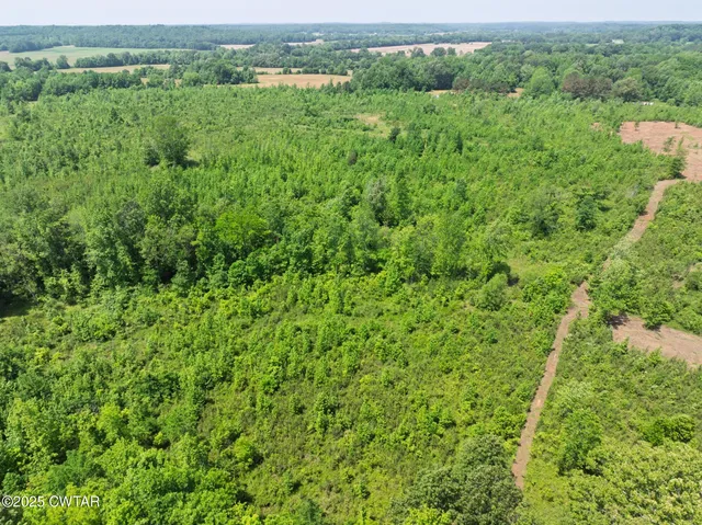 a view of a lush green forest with trees and some houses
