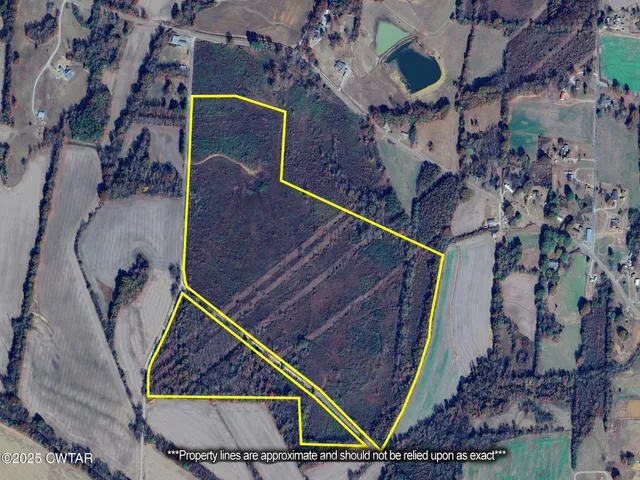 a view of a lake with a building in the background