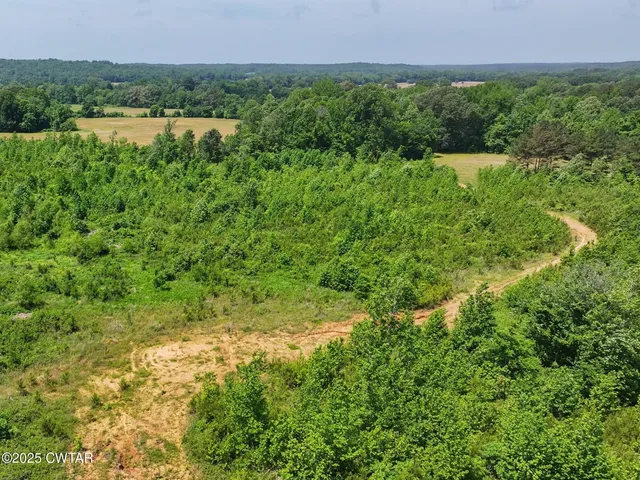 a view of a green field with lots of bushes