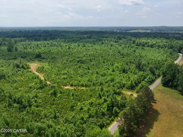 a view of a lush green forest with lots of trees