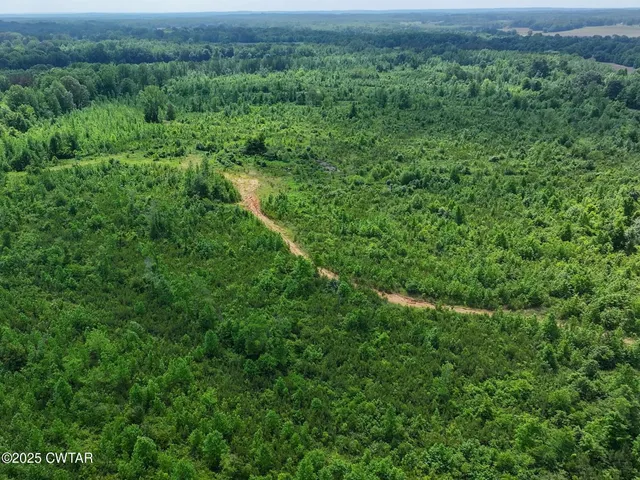 a view of a green field with lots of bushes