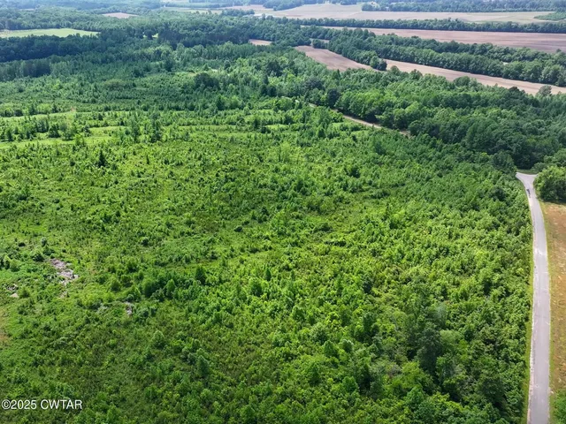 a view of a garden with an outdoor space