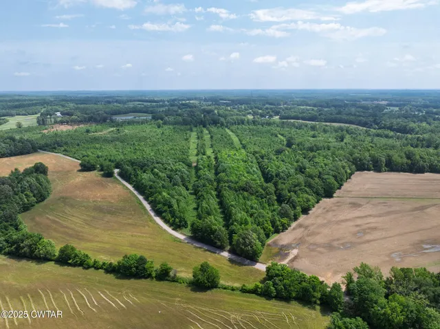 an aerial view of residential houses with outdoor space and trees