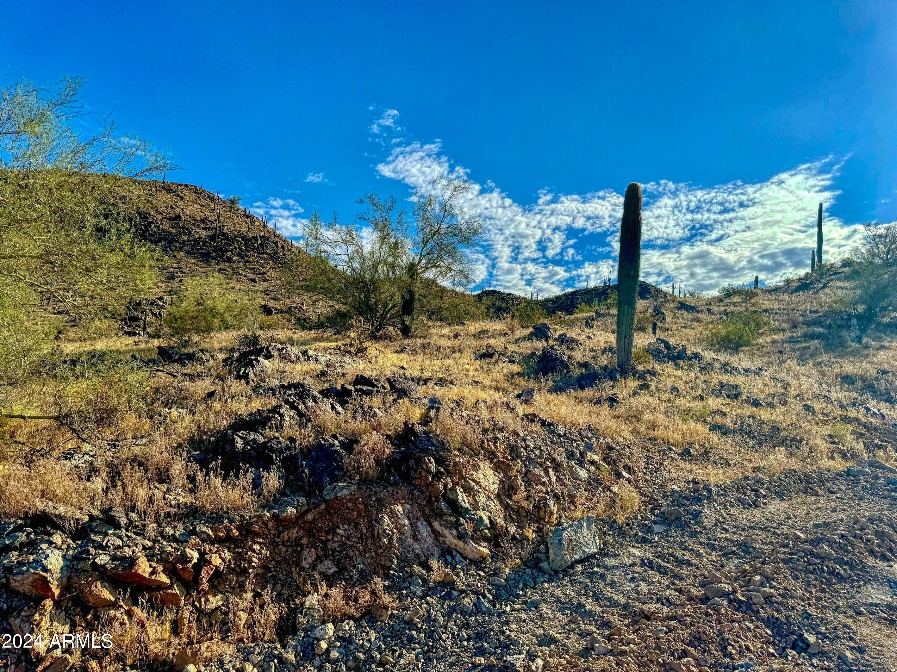 0 West Lantern Road, Unit 2 Maricopa, AZ 85139 - Photo 13 of 16 Lot 2 SWC looking Northeast