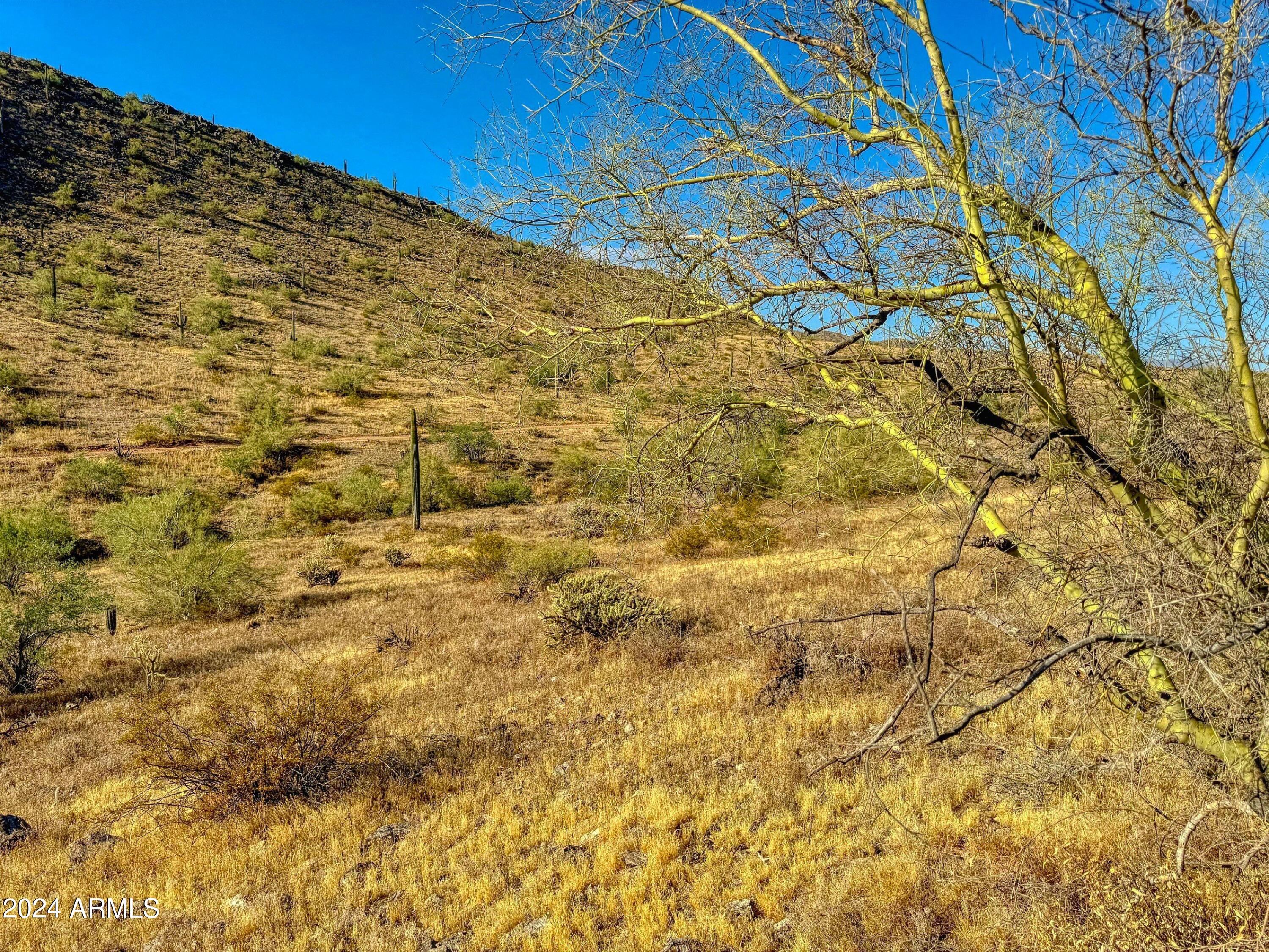 0 West Lantern Road, Unit 2 Maricopa, AZ 85139 - Photo 6 of 16 Lot 2 looking south