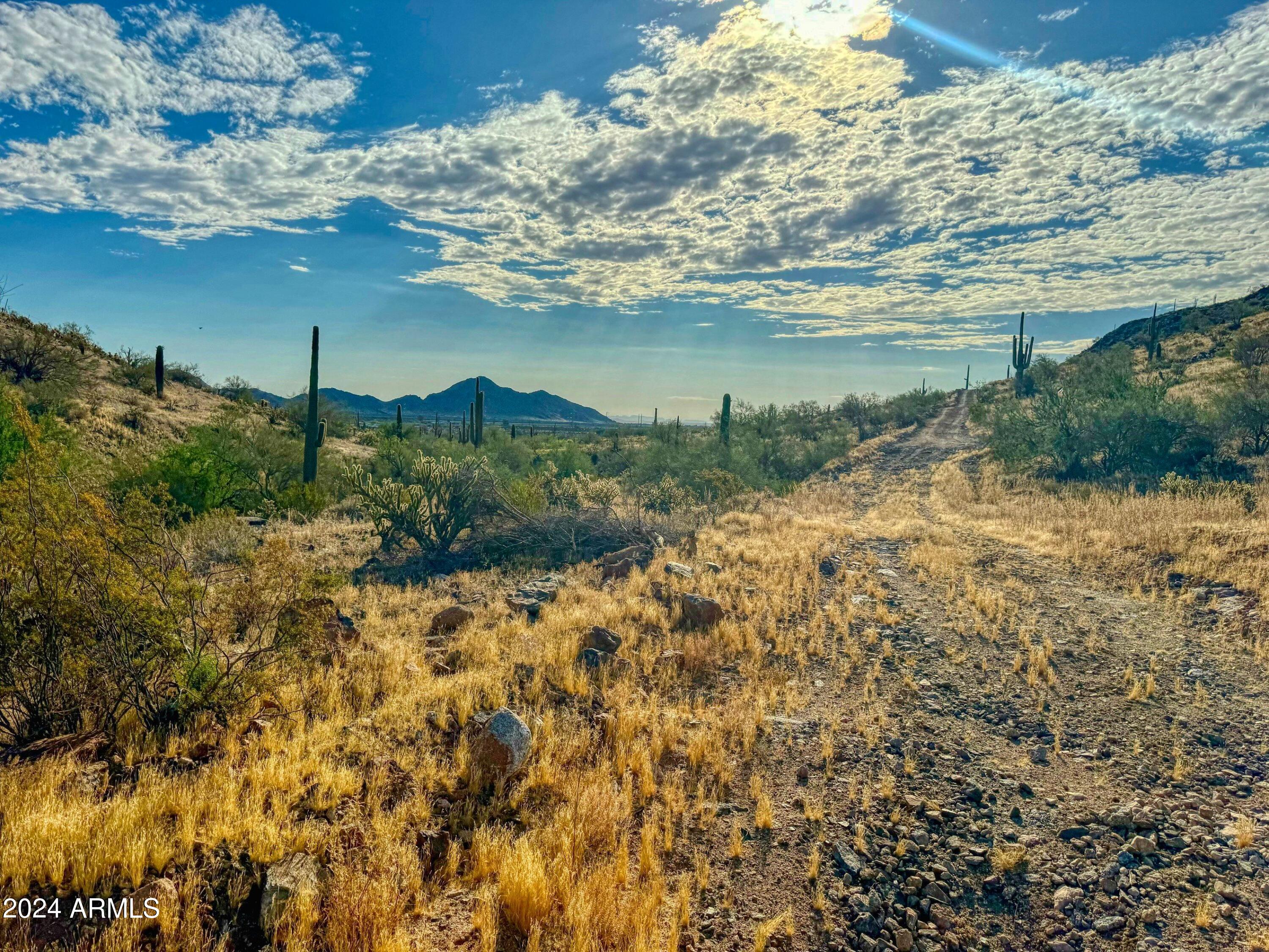 0 West Lantern Road, Unit 2 Maricopa, AZ 85139 - Photo 8 of 16 Lot 2 SEC looking SW
