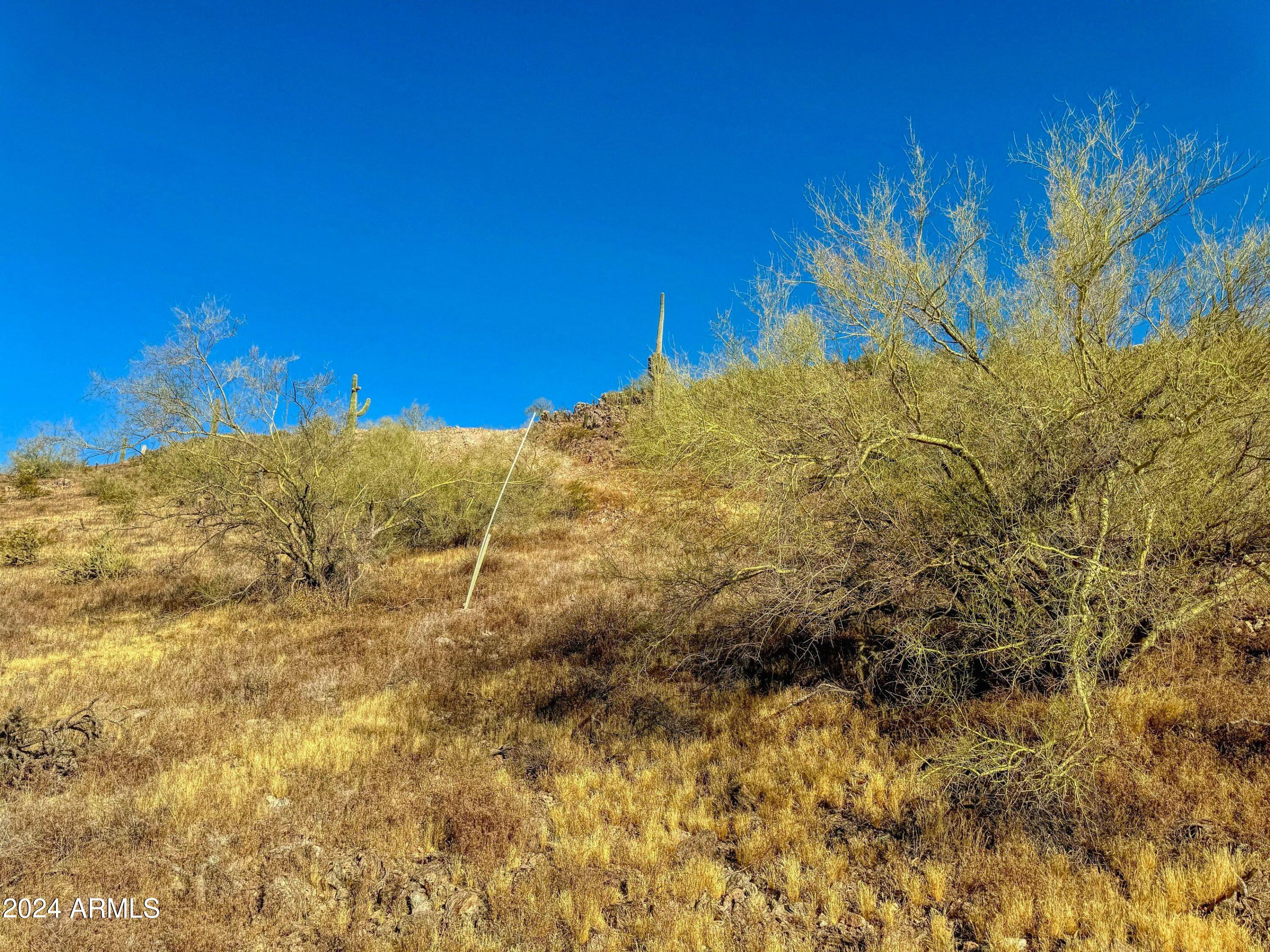 0 West Lantern Road, Unit 2 Maricopa, AZ 85139 - Photo 9 of 16 Lot 2 SEC pole