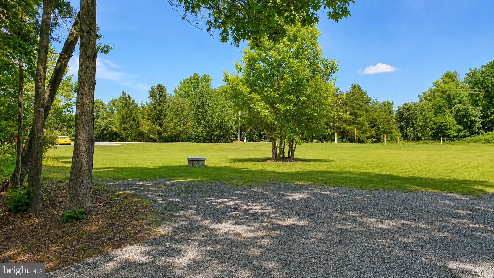 2208 Cartersville Road Mineral, VA 23117 - Photo 41 of 44 Serene green space with shaded trees.