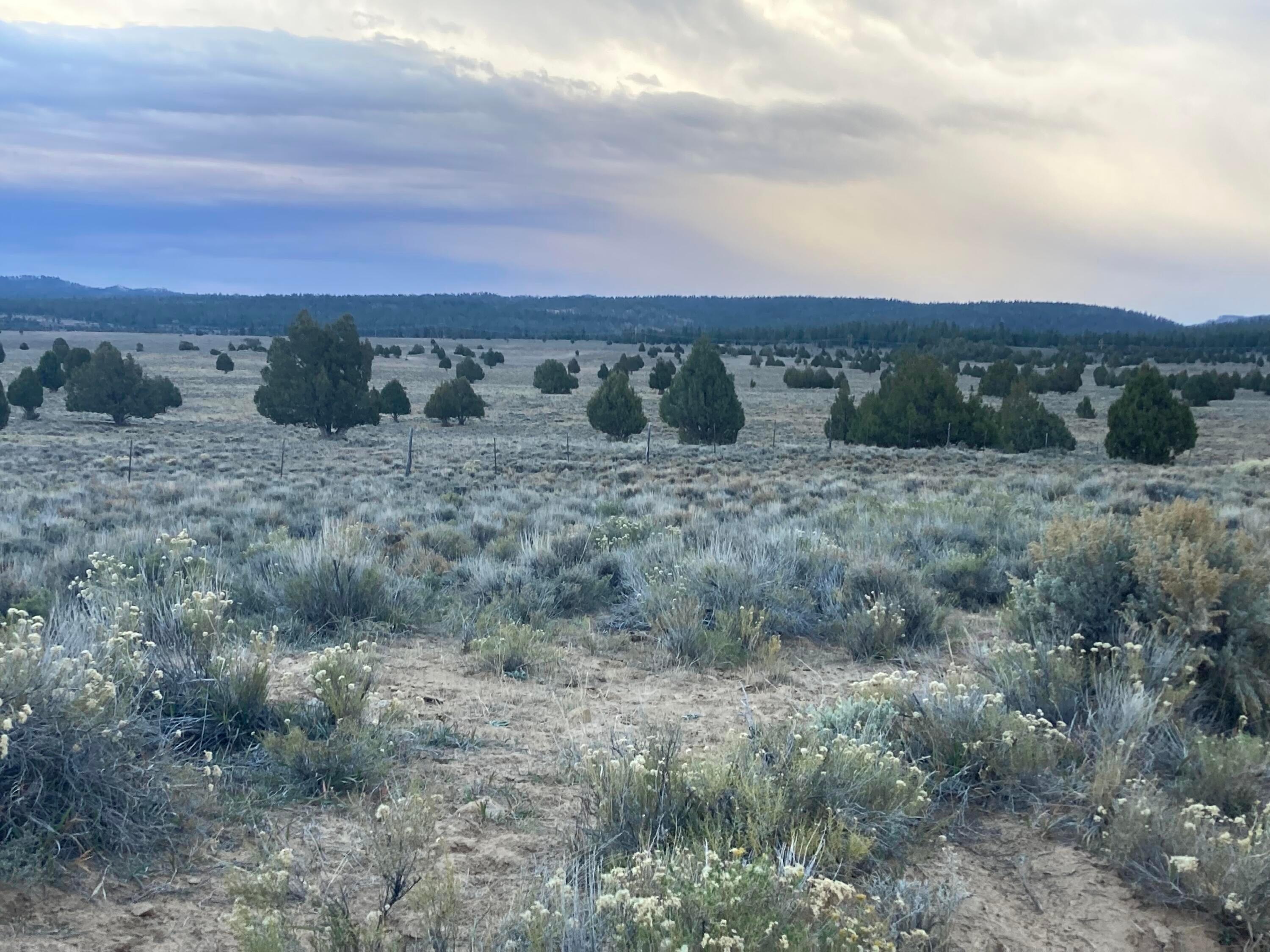 Parcel 15-0075-0240 Hatch, UT 84735 - Photo 2 of 7 2