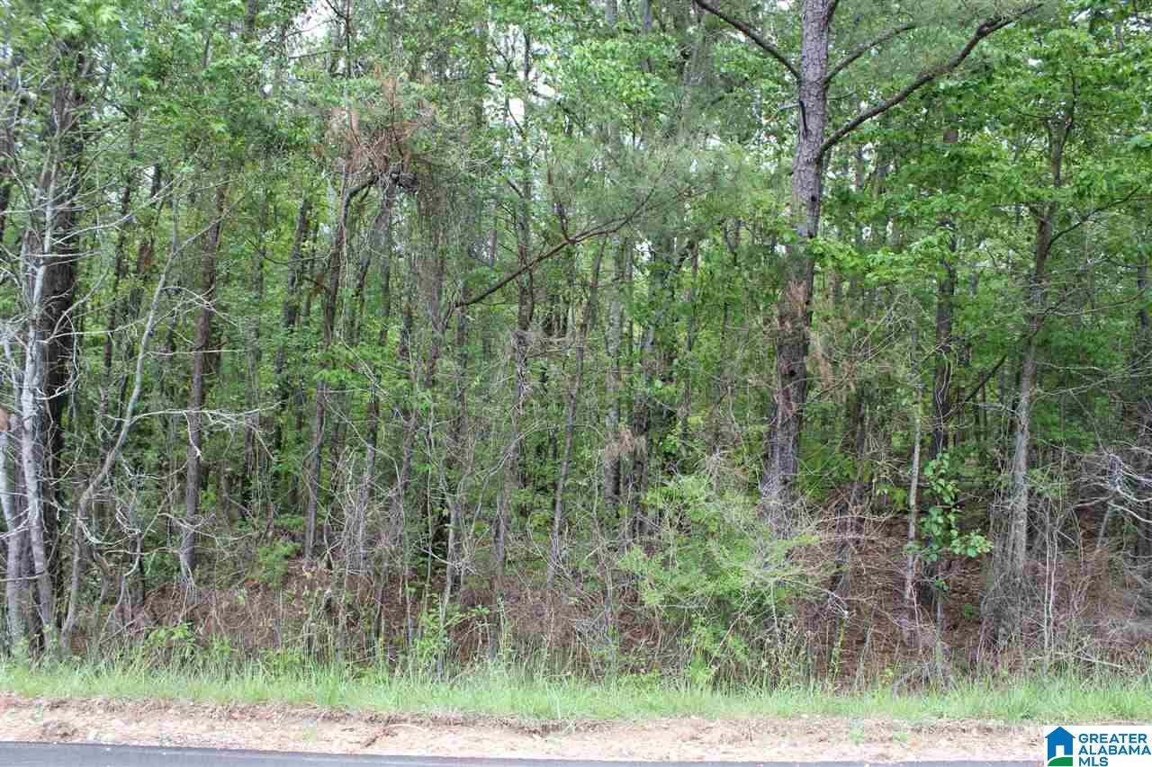 0 County Road 38 Jemison, AL 35085 - Photo 12 of 13