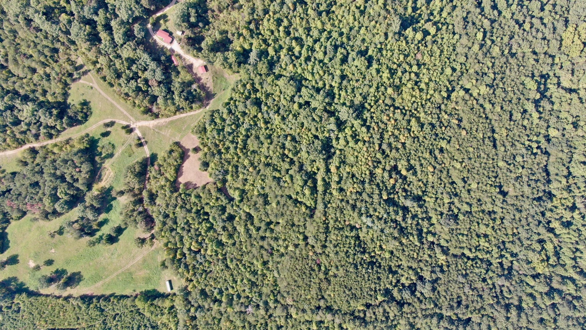 0 Liberty Church Road Old Fort, TN 37362 - Photo 1 of 5