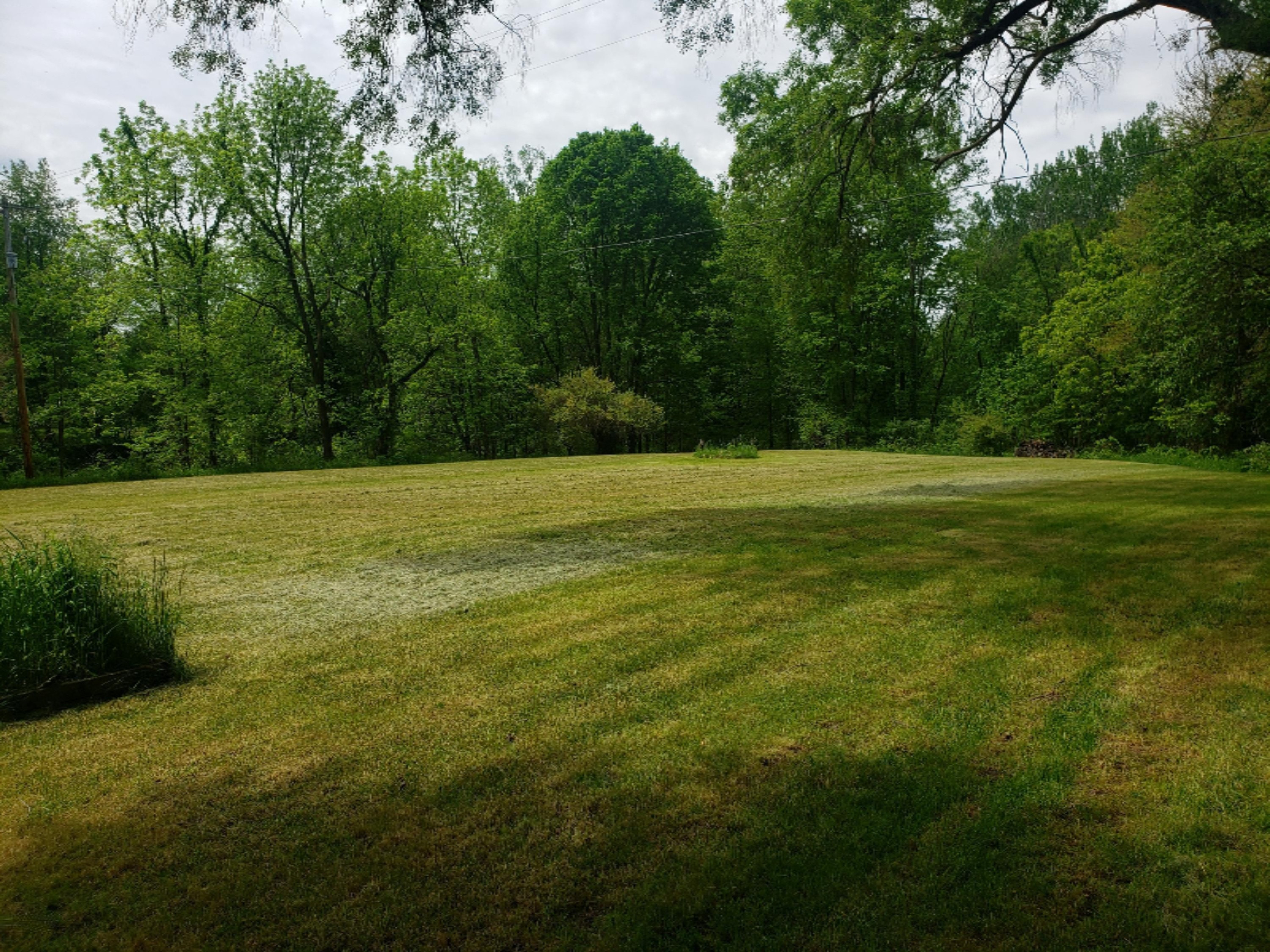 106 South Snow Prairie Road Coldwater, MI 49036 - Photo 29 of 33 20200601_120608