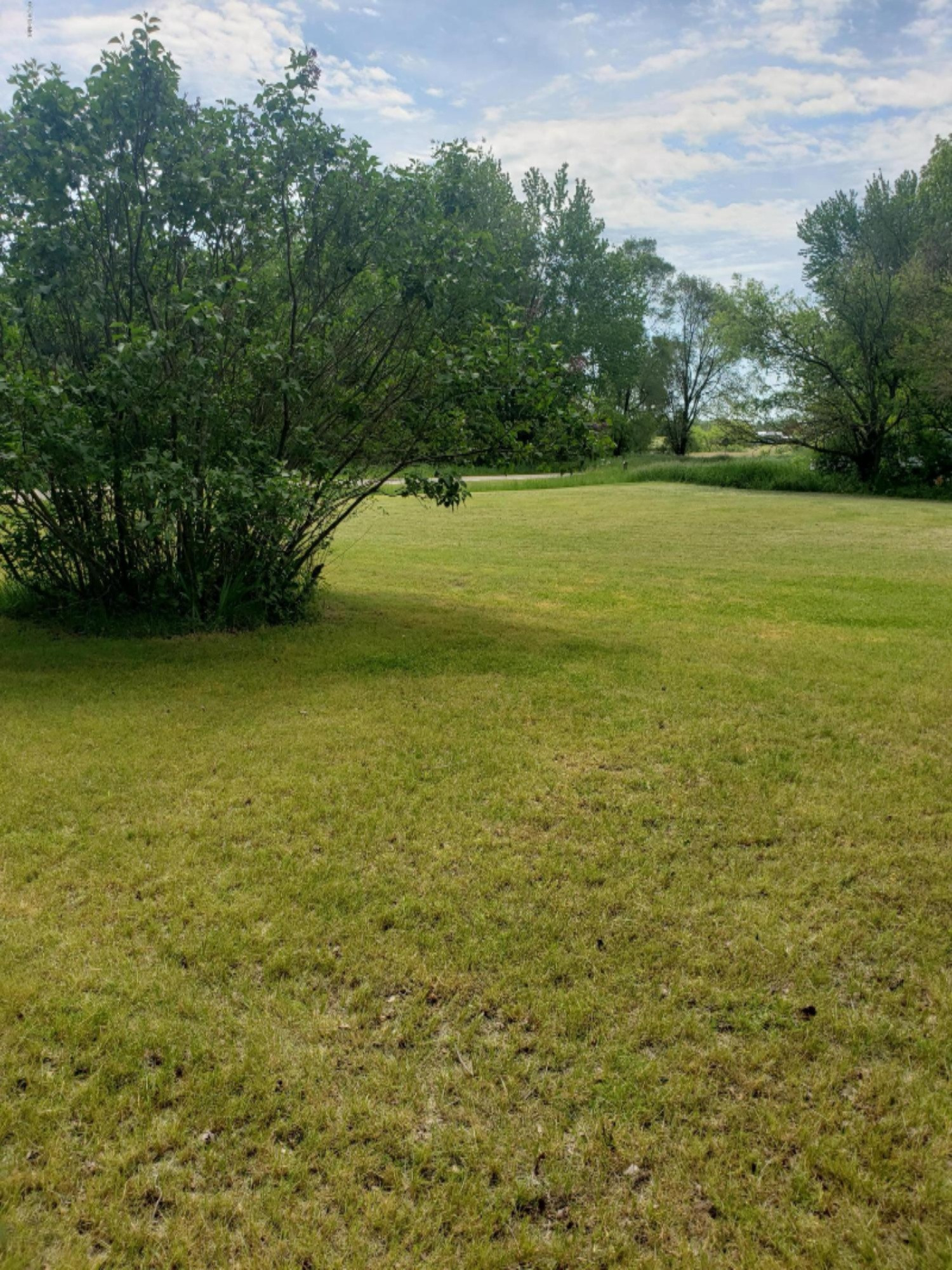 106 South Snow Prairie Road Coldwater, MI 49036 - Photo 30 of 33 20200601_120629