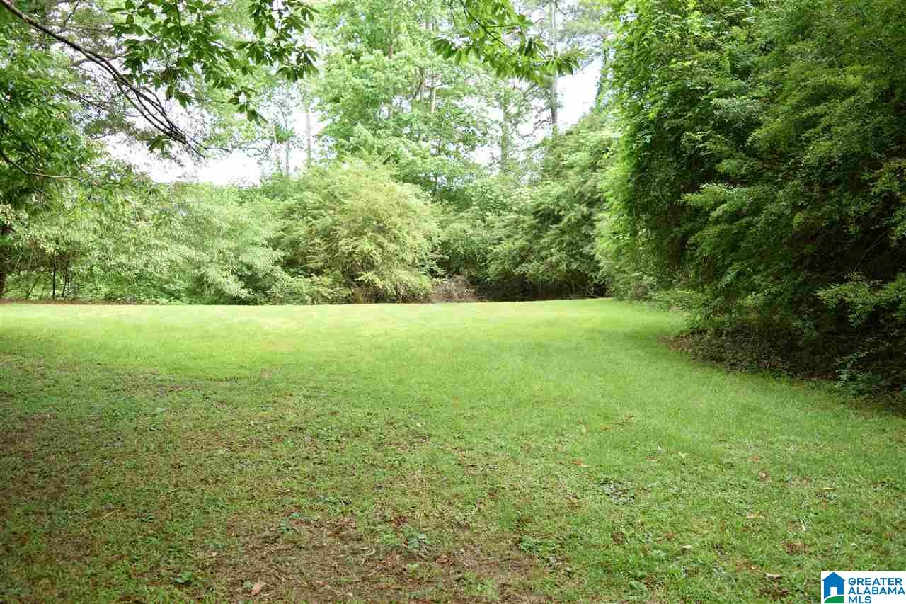 56411 Highway 231 Oneonta, AL 35121 - Photo 44 of 50