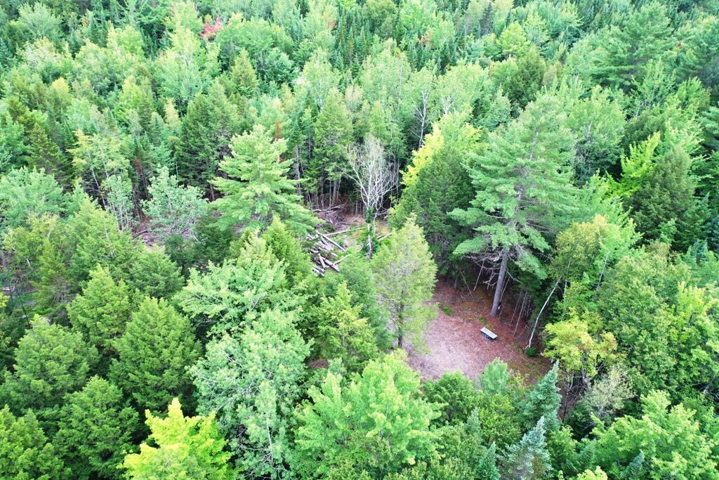 Tbd Caribou Road Passadumkeag, ME 04475 - Photo 3 of 14 DJI_0758