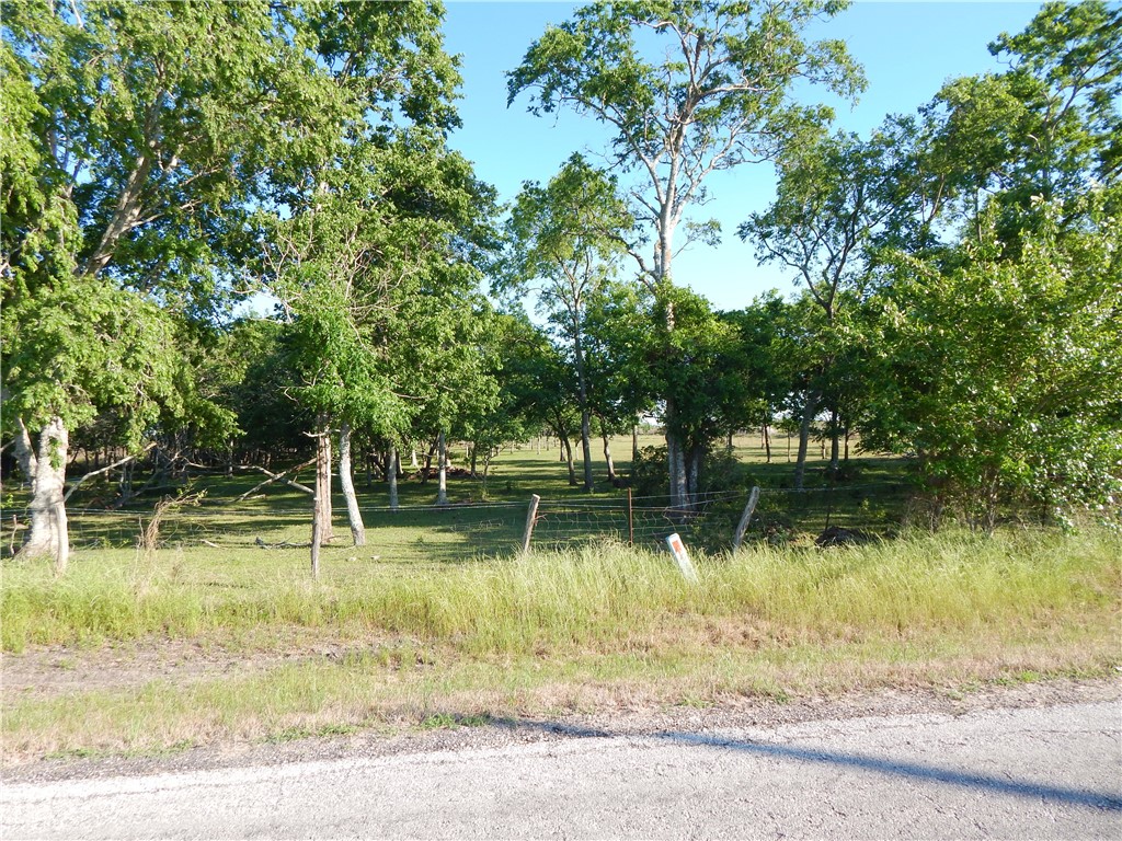 Tbd South Tbd S Battle Road Kendleton, TX 77417 - Photo 1 of 1