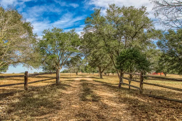 a view of a yard with an trees